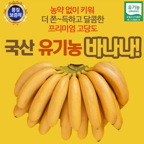 유기농 국산바나나 1.5kg