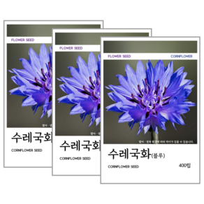 수레국화(블루) 씨앗 400립, 3개