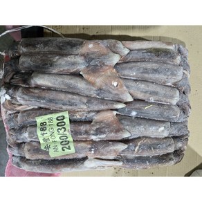 [대만산] 선동 포크오징어 S 12.3kg(아이스박스 무료) 냉동오징어 포크오징어 12.3KG, 1박스