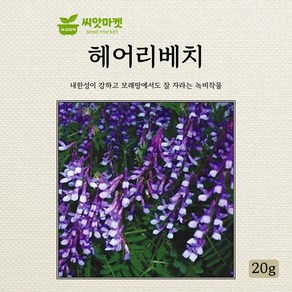 아람종묘 헤어리베치 씨앗 20g, 1개