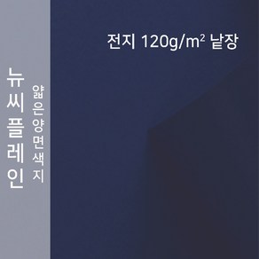 뉴씨플레인 종이문화 얇은 양면색지 120g 전지 낱장 1매 No.38 남색, 1장