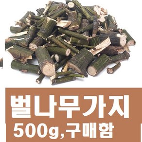 (벌나무가지500g)/국내산/