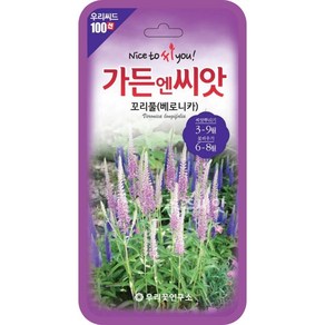 꼬리풀 씨앗 100립 다년생 베로니카 꽃씨 야생화 speedwell seed, 1개