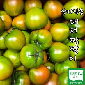 단짠미가득 당일수확 산지직송 짭짤이 대저토마토, 1박스, 대저토마토 2.5kg(대과)