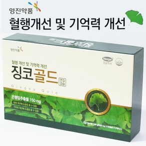 징코골드 120캡슐 은행잎추출물 150mg 플라보놀배당체 혈행건강 기억력개선도움, 120정, 1개