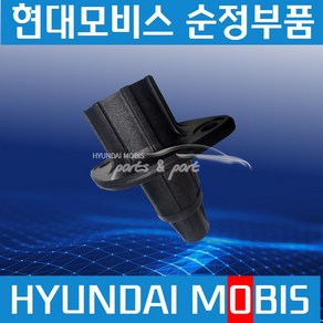 엑시언트 메가트럭 올뉴마이티 요소수 우레아 탱크 주유구 캡 다이 순정 285336C100, 1개