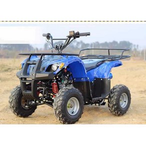 ATV 사발이 농업용 바이크 사륜 산악 오토바이 125CC, 125cc 8인치