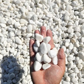 인서블 정원 인테리어 소포장 대용량 백자갈 화이트 20~30mm 화분 바닥재, 10kg, 1개
