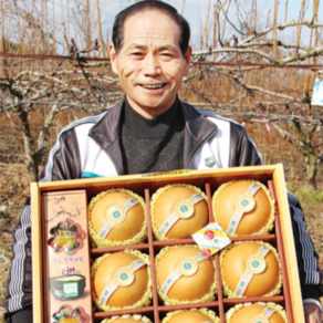 유기농 배 신고 껍질째 먹는 배 2kg 4kg 5kg, 유기농 기능성 대과 5kg 선물용 배 (10과이내), 1개