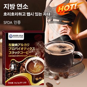 다이어트 커피믹스 아메리카노맛 지방 연소 다이어트 블랙 커피, (2g/봉지*12봉지)*2