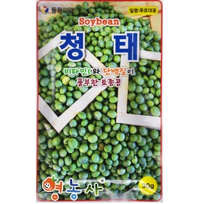 청태 콩씨앗 30g, 1개