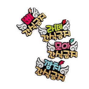 더제이핸즈 반려동물 번개날개 [2글자][이름+간식금지] 강아지 네임핀, 스카이+이름2글자+M(10CM)+집게핀, 1개
