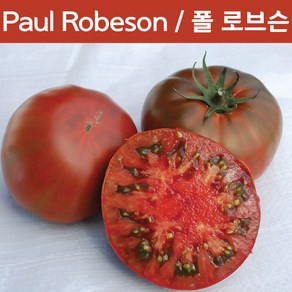 Paul Robeson 폴 로브슨 토마토 달콤한 희귀토마토 교육용 체험용 세트, 1개