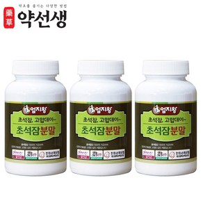 약초약선생 국내산 초석잠 분말 가루, 3개, 100g