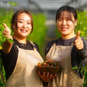 흑 대추방울토마토 1kg 2kg, 1개