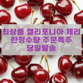 [고니네농수산] 최상품 2차선별 항공직송 체리, 1개, 1kg(대)