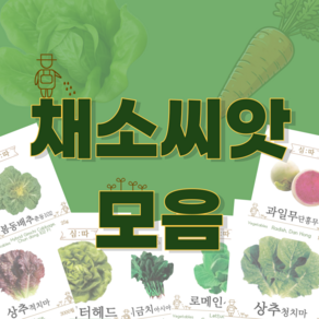 채소 씨앗, 02. 청치마(3000립), 1개