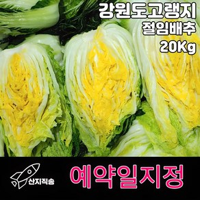 바른청년먹거리 강원도 고랭지 절임배추 20kg 배추 김장 김치