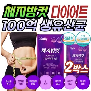 뉴일리 체지방컷 다이어트 유산균 100억 생유산균 60캡슐, 2박스, 27g