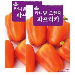 세인화분 오렌지 파프리카씨앗 10립 피망 키우기 파프리카 씨앗, 2개