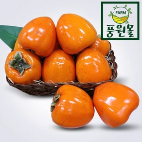 산지직송 고당도 대봉감 /5KG/10KG, 대봉감 5kg 15과내외, 1개