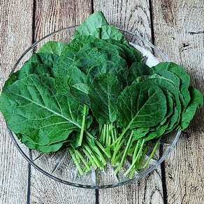 경기도 광주 당일수확 유기농 쌈케일 1kg, 1개