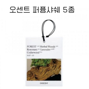 오센트 퍼퓸샤쉐 5종 택1 [OHSCENT], WOODLAND(우드랜드), 1개, 12g