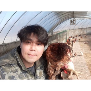 한국인의 밥상이 인정한 계룡산 토종닭 chicken 백숙재료(은행/밤/대추)무료 육수용 닭발(무료) 제공