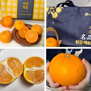 [고당도] 농장직송 제철과일 선물세트 제주 천혜향, 1박스, 5kg(선물용,특대과,가방포함)