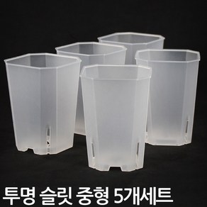 플라스틱 투명 사각 슬릿 롱화분 중형 5개세트 - 슬릿분 플분 플라스틱화분 모스그린 거실화분 인테리어화분 매장화분 중형화분 대형화분 원형화분, 02_Sein_투명 사각 슬릿롱(중) x 5개세트