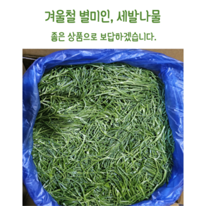 [임가네농산] 세발나물 무안 세발나물 갯나물 별나물 국내산 무안 세발나물, 1개, 4kg