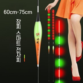 60cm-75cm 장찌 변색 스마트 전자찌 장대 낚시 야광 민물, L-06 3.4g 60cm, 2개