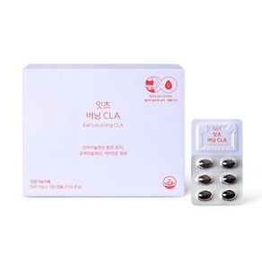 네츄럴굿띵스 잇츠 버닝 CLA 공액리놀레산 감마리놀렌산 다이어트 560mg x 180캡슐, 1박스 (1개월분), 1개, 180정