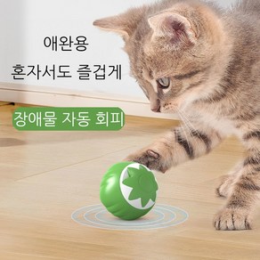 윈티크 고양이 불빛 스마트볼 잡기 호박 장난감