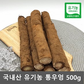 유기농 우엉 국산 우엉 뿌리 생우엉 통우엉 국내산 우엉 500g