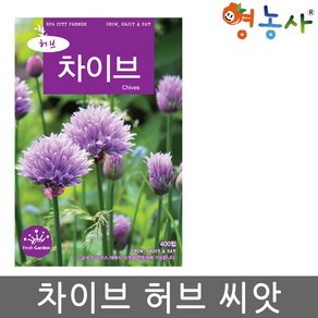 차이브 씨앗 400립 허브 키우기 씨 종자, 1개