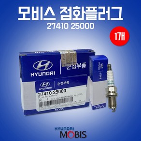 카박사/점화플러그/현대모비스순정부품/1개/27410 25000/2741025000/스파크플러스/이리듐플러그/TG그랜져/NF쏘나타/로체, 27410 25000, 1개