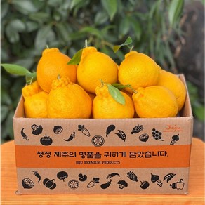 고당도특수농법 14Bix 산지직송 제주 한라봉, 1박스, 2kg(중소과)