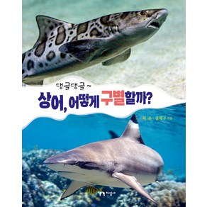 댕글댕글상어 어떻게 구별할까?