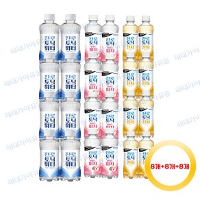 토닉워터 300ml 3종 혼합 24개(토닉8개+와일드피치8개+진저에일8개), 1세트