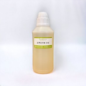 [더위치] 카멜리아 오일 500ml 동백오일 Camelia Oil, 1개