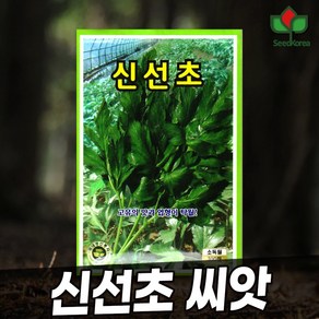 [씨드코리아] 신선초씨앗 100립, 1개