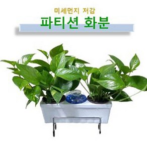 리빙팜 파티션 화분, 1개