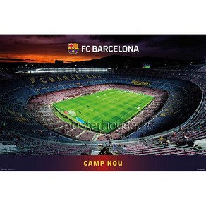 MAXI Poste 포스터 61x91 - FC 바르셀로나: 캄프 누 / Bacelona: Camp Nou, 포스터만구매