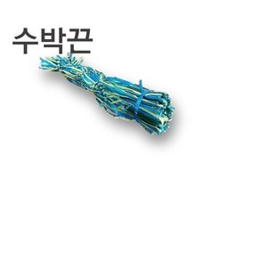 이도스포츠 싱싱한 수박 탱탱볼 공 22cm (수박끈 별도), 수박끈, 1개