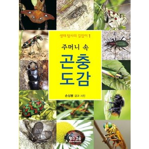 주머니 속 곤충 도감