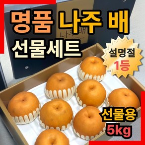 뉴트리픽 백화점납품 고당도 나주 배 신고배 선물세트, 1박스, 선물용 5kg 특품(8-10과)