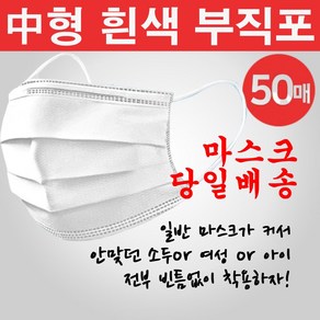 막둥이와망고 당일발송 성인용 덴탈마스크 부직포 일회용마스크, 1개