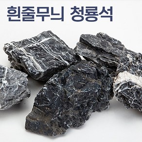 흰줄무늬 청룡석 (10-25cm)(2kg)수족관수석/수족관장, 1개