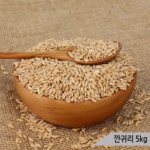 건강알곡 깐귀리 5kg 앵무새 햄스터 영양간식 사료, 1개